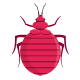 Bed-Bug