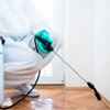 Best Pest Control Services