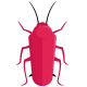 Cockroach