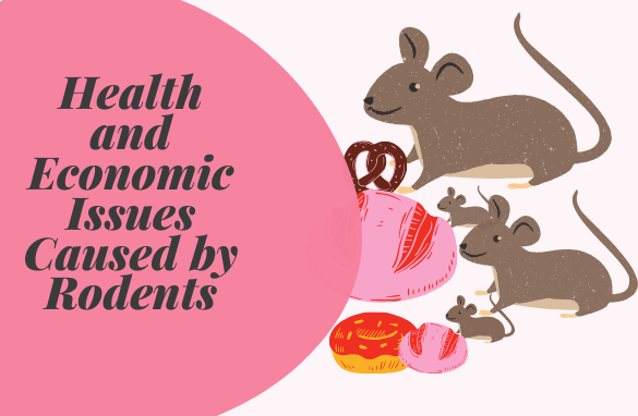 rodents