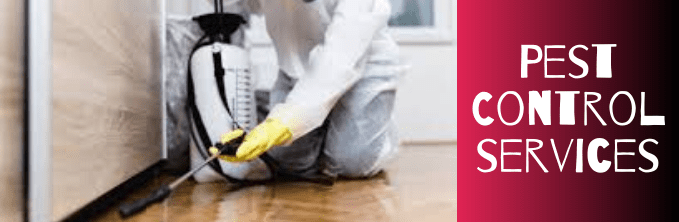 Pest Control services