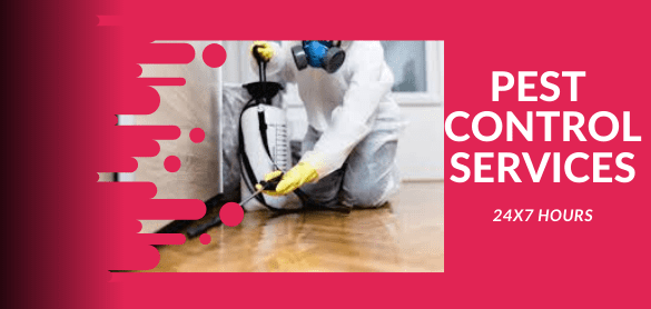 Flies Control Pakenham