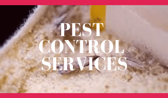 Pest Control services