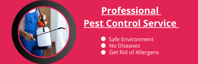  Professional Pest Control Service