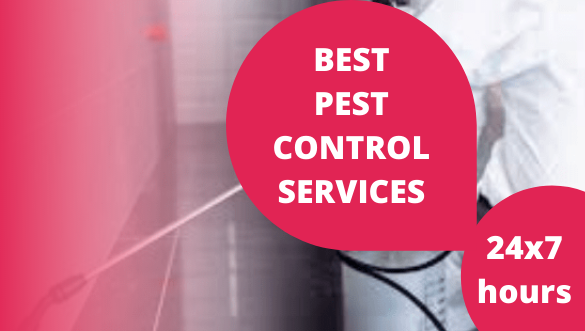 pest-controls