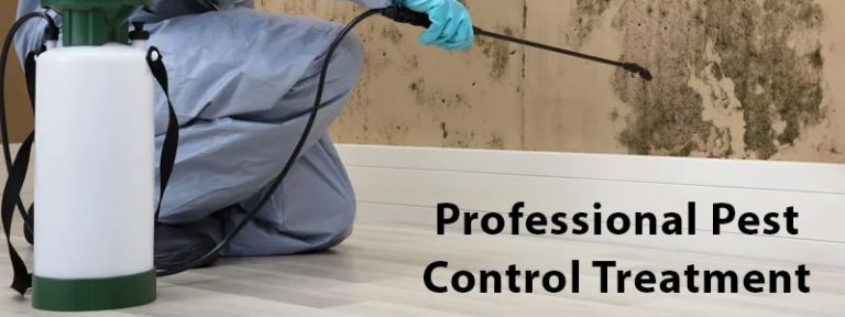 Professional Pest Control Treatment