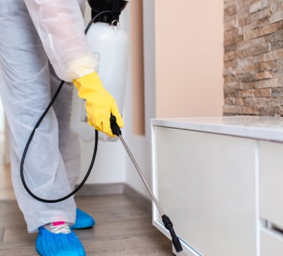 pest control treatment pakenham